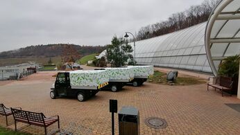 Selvo auto v botanické zahradě v Praze